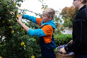 Leerling PITO van de eerste graad werkt in de tuin